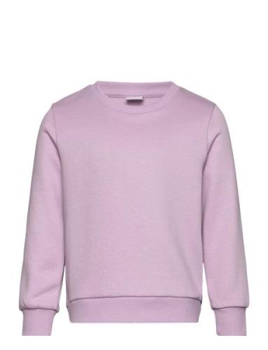 Sweatshirt Basic Purple Lindex