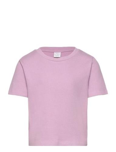 Top Rosie Basic Purple Lindex