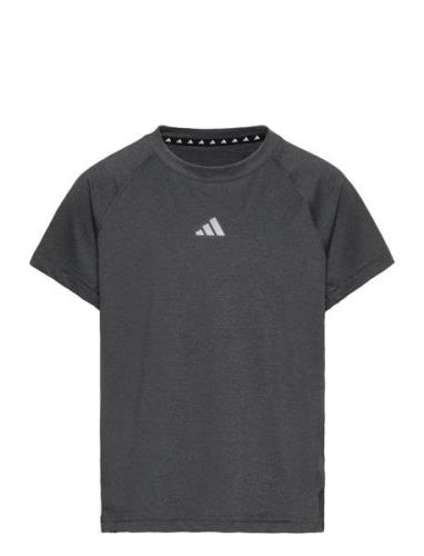 Jg Tee Lux Grey Adidas Sportswear