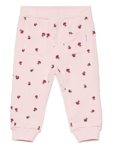 Tidde - Joggers Pink Hust & Claire