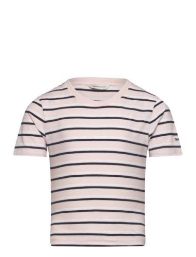 Striped T-Shirt Pink GANT