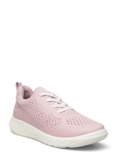 Sp1 Lite K Pink ECCO