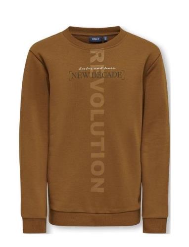 Kobjohan L/S Revolution O-Neck Box Swt Brown Kids Only