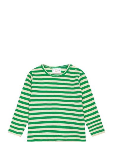 Tnsfinn L_S Rib Tee Green The New