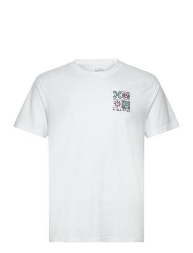 Hco. Guys Graphics White Hollister