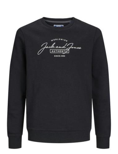 Jjferris Sweat Crew Neck Jnr Black Jack & J S