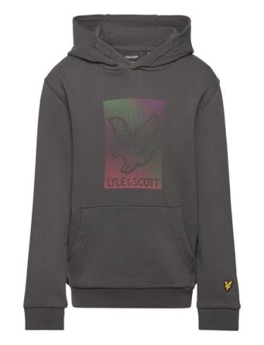 Dotted Eagle Graphic Hoodie Grey Lyle & Scott