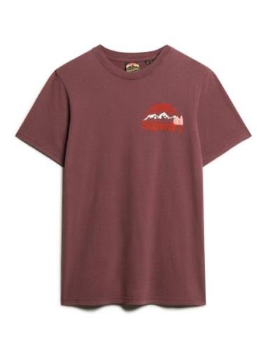 Great Outdoor Chest Graphc Tee Brown Superdry