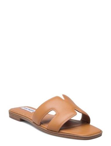 Heist Sandal Brown Steve Madden