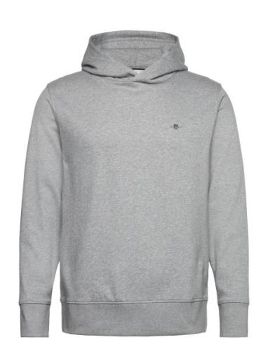 Reg Emb Archive Shield Hoodie Grey GANT