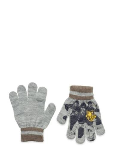 Gants Grey Harry Potter