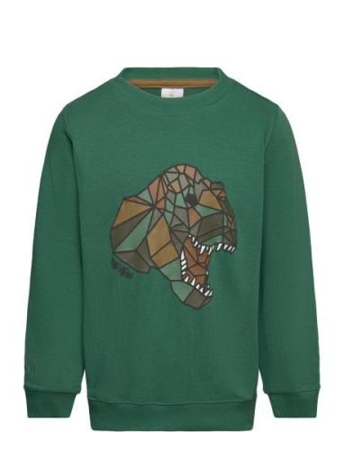 Tnlazaron Sweatshirt Green The New