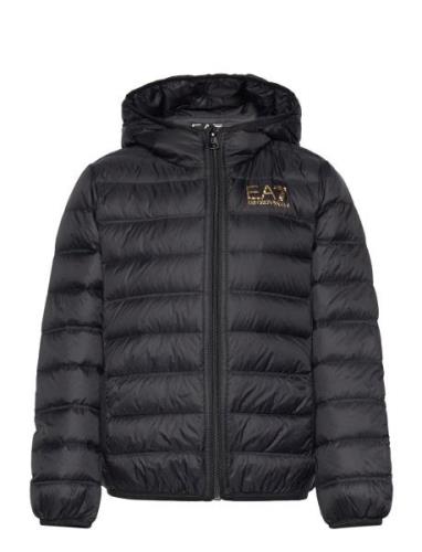 Down Jacket Black EA7