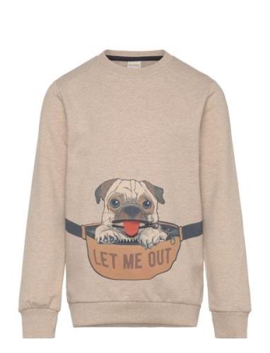 Sweatshirt Ls Beige Minymo