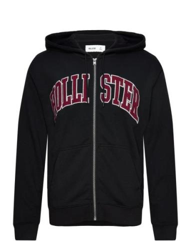 Hco. Guys Sweatshirts Black Hollister