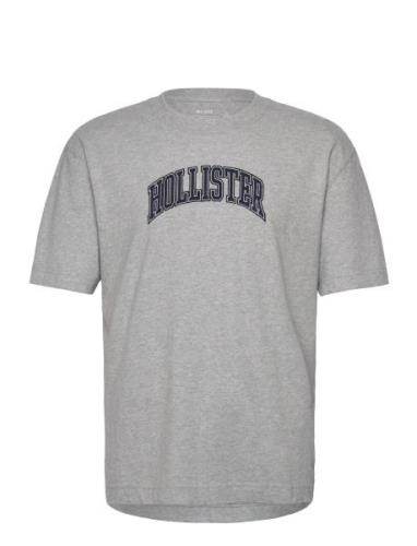 Hco. Guys Graphics Grey Hollister