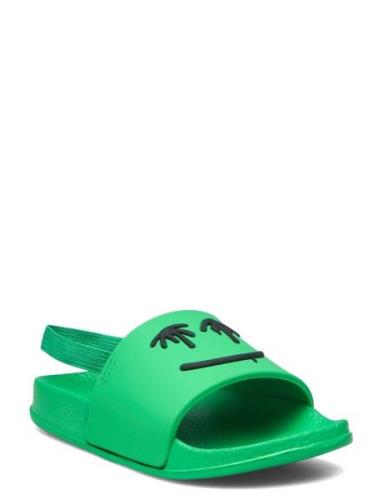 Zhappy Green Molo