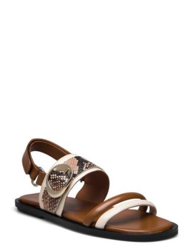 Sandals Brown Billi Bi