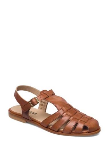 Sandals - Flat - Closed Toe - Op Brown ANGULUS