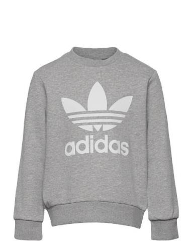 Trefoil Crew Grey Adidas Originals