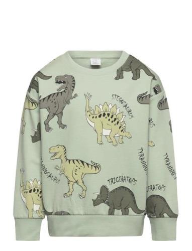 Sweater Aop Dino Green Lindex