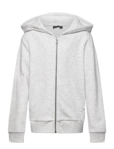 Nlnnizu Ls Bru Sweat Card W. Hood Noos Grey LMTD