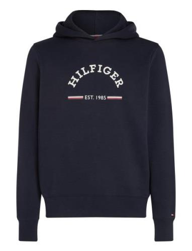 Roundall Hoody Blue Tommy Hilfiger