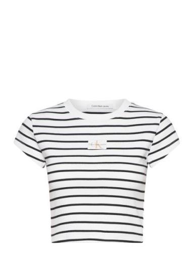 Woven Label Rib Baby Tee Patterned Calvin Klein Jeans