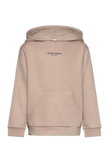 Nkmbrody Ls Nreg Sweat Wh Bru Noos Beige Name It