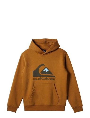 Big Logo Hoodie Youth Brown Quiksilver