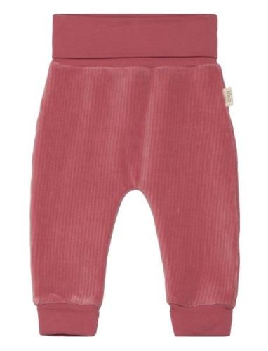 Aaro Pants Red Ma-ia Family