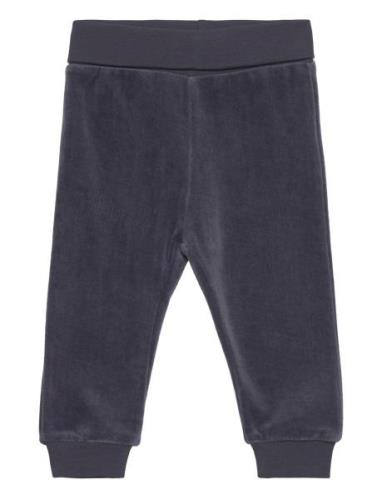 Pants Velour Blue Fixoni