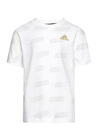 Jb Bluv Q4Aop T White Adidas Sportswear