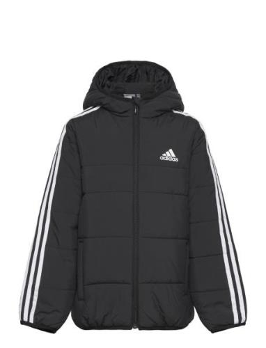 3-Stripes Padded Jacket Kids Black Adidas Sportswear