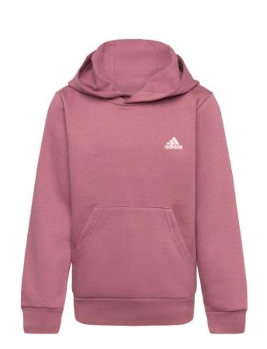 J Sl Fc Fl Hd Pink Adidas Sportswear