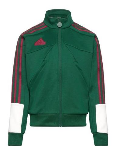 J Np Ttop Green Adidas Sportswear