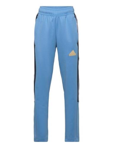 J Np Tiro Pant Blue Adidas Sportswear