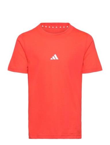 J D4T Tee Orange Adidas Sportswear