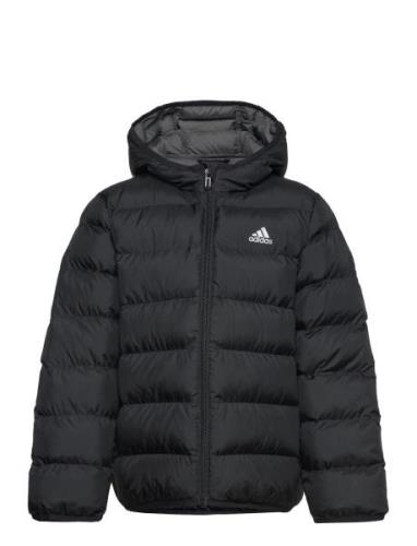 J Sd Jkt Black Adidas Sportswear