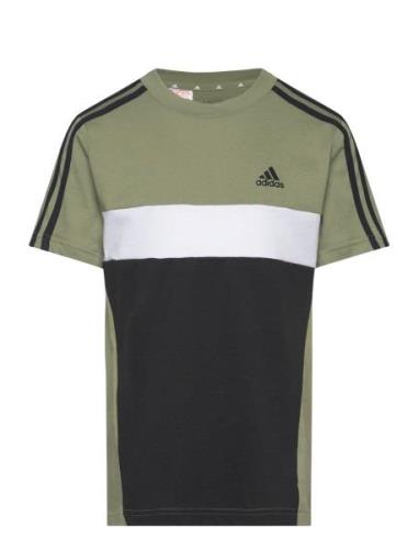 J 3S Tib T Green Adidas Sportswear