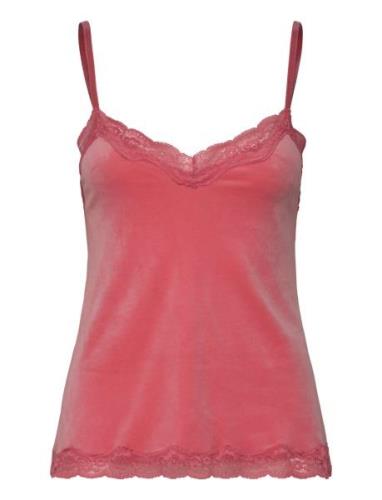 Cami Velours Scallop Lace Red Hunkemöller