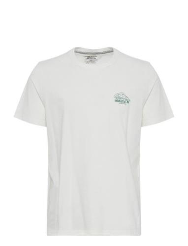 Tee White Blend