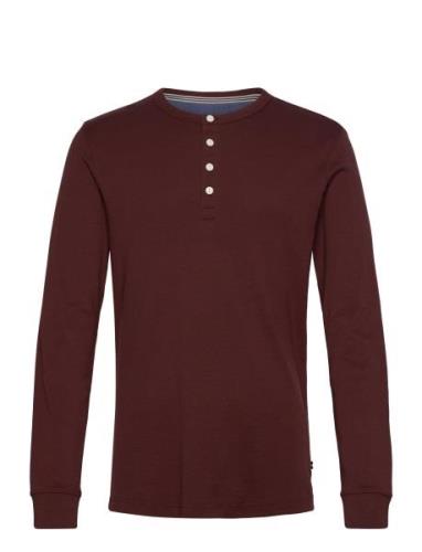 Solid Granddad L/S Burgundy Lindbergh