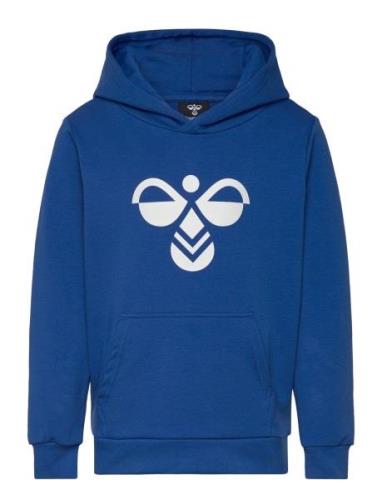 Hmlcuatro Hoodie Blue Hummel