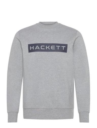 Hs Essential Sp Crew Grey Hackett London