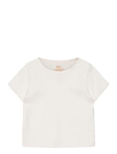 Rib Jersey T-Shirt Cream Copenhagen Colors