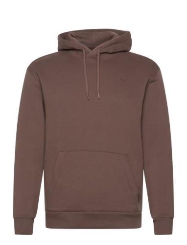 Hco. Guys Sweatshirts Brown Hollister