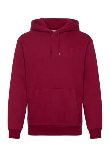 Hco. Guys Sweatshirts Burgundy Hollister