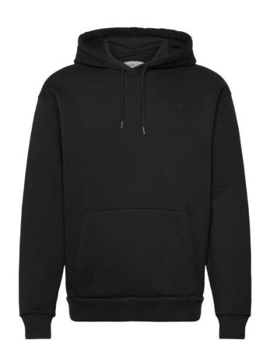 Hco. Guys Sweatshirts Black Hollister