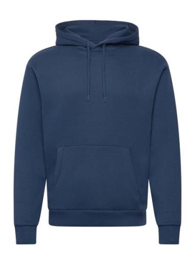 Hco. Guys Sweatshirts Navy Hollister